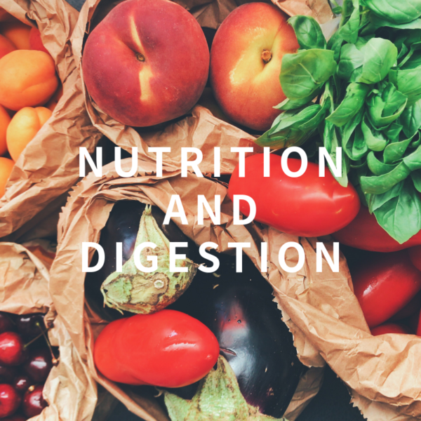 栄養価と消化